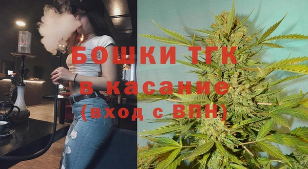 сатива Абинск