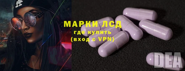 сатива Абинск