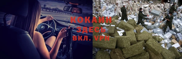 винт Алексин