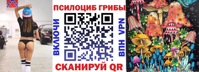 наркота  Котельнич  Галлюциногенные грибы Cubensis 
